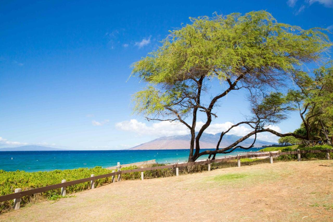 Hale Kamaole 254 Villa Wailea  Luaran gambar